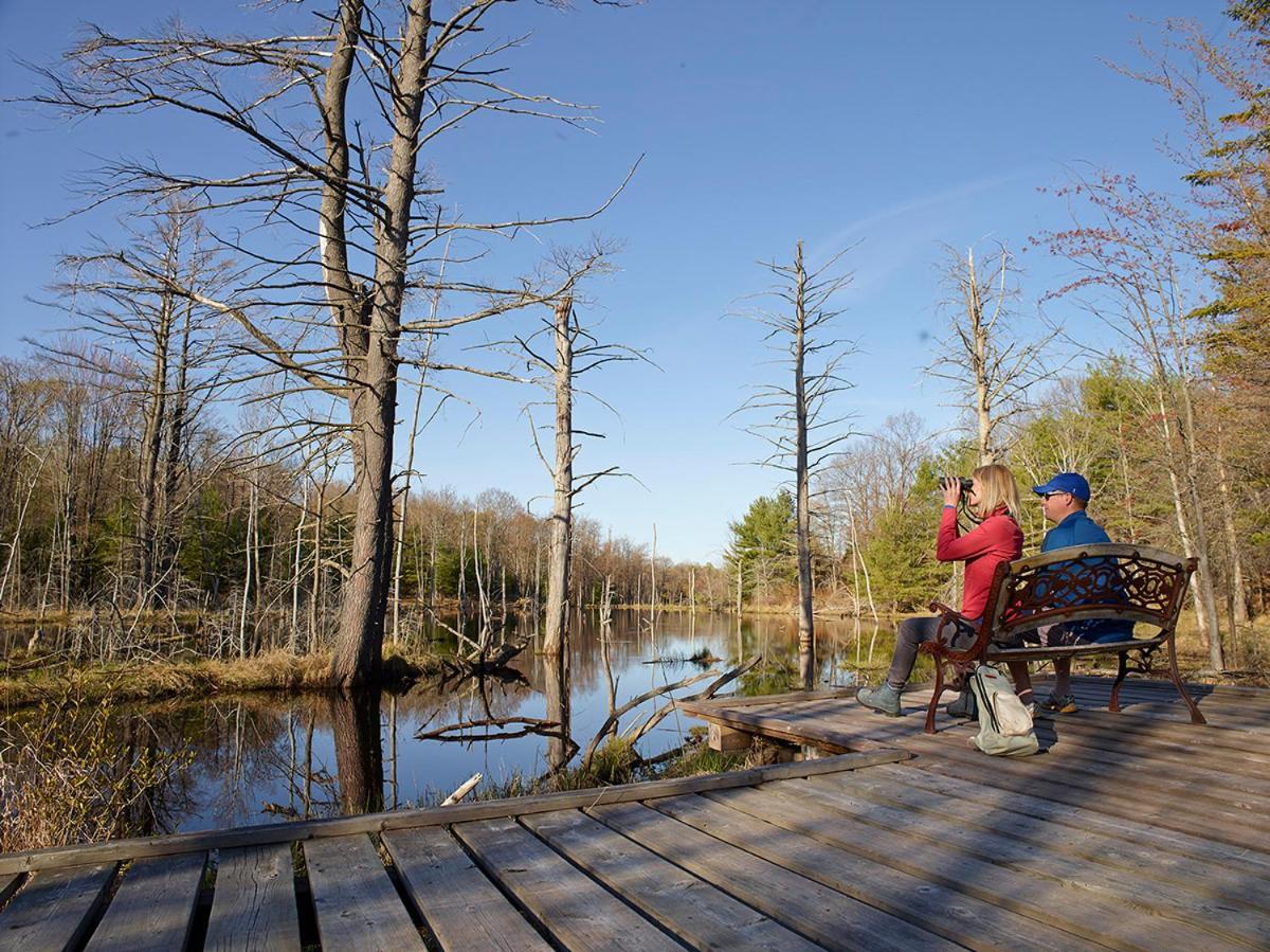 Hotel Taboo Muskoka Gravenhurst Exteriér fotografie